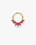 Daith CYRUS (+ de couleurs)